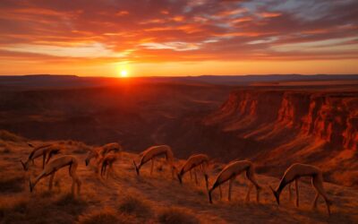 Unveil fish river canyon wildlife and witness a raw canyon ecosystem in action.