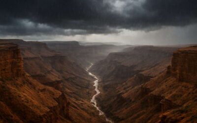 Witness the magic as fish river canyon rain reshapes the desert into a silver dream