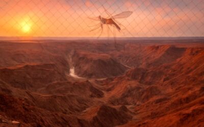 Explore fish river canyon malaria: A gripping tale of peril by the river